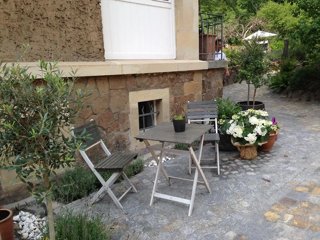 Appartement Ferienwohnung Weintraube Dresden